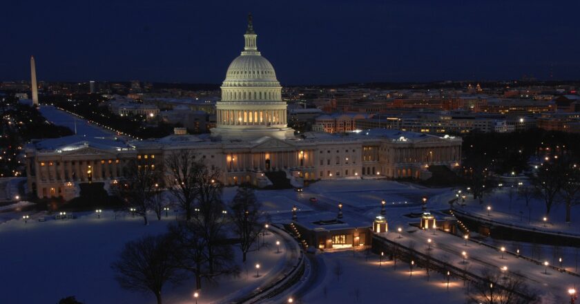 Navigating the Political Odyssey: Strategic Insights for Small Business Pioneers
