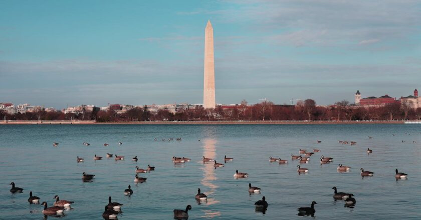 Adapting to Policy Changes: What Small Businesses Need to Know
