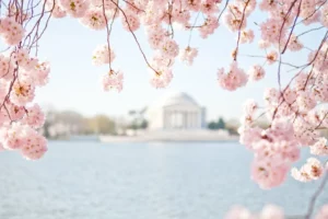 sPRING INTO aDVENTURE: hOW tRAVEL CAN REVITALIZE YOUR BUSINESS sPIRIT