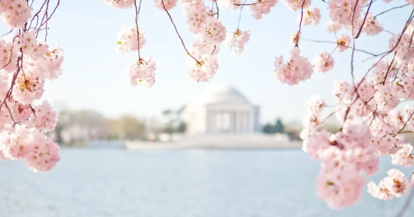 sPRING INTO aDVENTURE: hOW tRAVEL CAN REVITALIZE YOUR BUSINESS sPIRIT